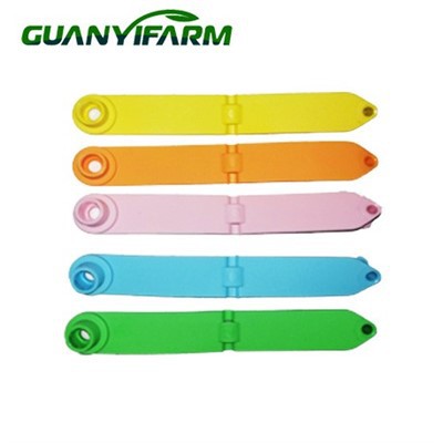 Ετικέτες αυτιών προβάτων χοίρων