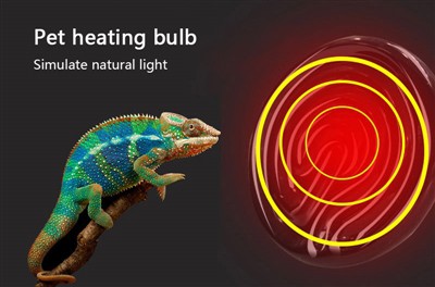 Πλεονέκτημα της λάμπας ερπετών Gecko