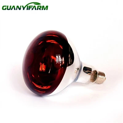 R125 IR LAMP LAMB