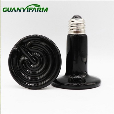 Ερπετοκεραμική λάμπα θερμότητας